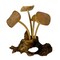 Wood Mushroom Sculpture Natural Tabletop Figurine Root Base Decor